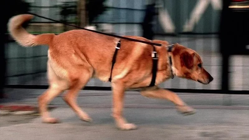 Кадры из сериала C.S.I. Место преступления (2000)
