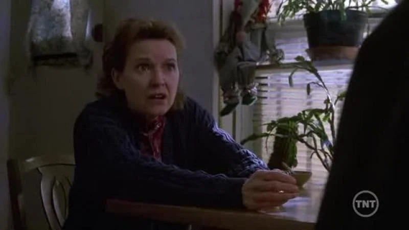 Кадры из сериала Закон и порядок (1990)